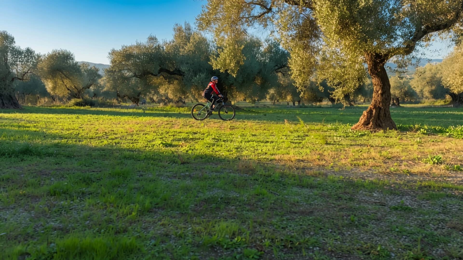 Capítulo 6: L'Orde de Montesa y la costa virgen del Maestrat